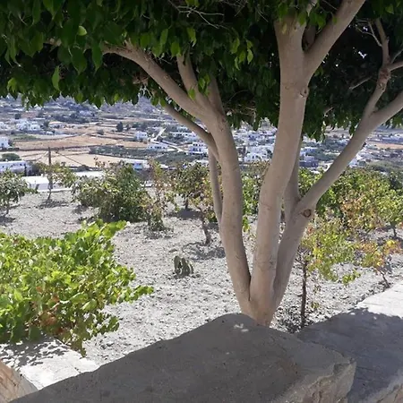 Casa vacanze Grape Yard