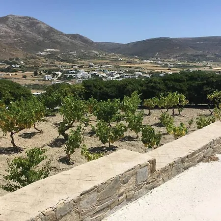 Grape Yard Holiday home Parikia (Paros)