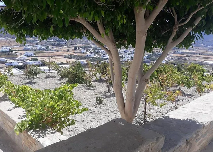 Vakantiehuis Grape Yard