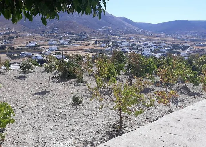 Grape Yard Vakantiehuis