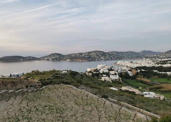 Vakantiehuis Grape Yard *